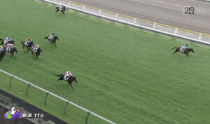 今村聖奈さん、新潟千直で最内を走って楽勝www