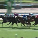 【競馬】北九州記念は団野騎乗のヤマニンアルリフラがV