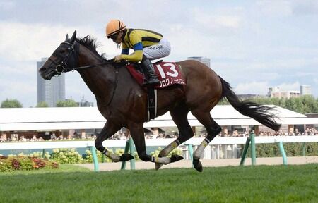 プログノーシスが引退　種牡馬入り