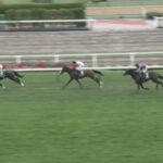 【競馬】函館2歳Sはキング騎乗の地方から転厩のエイシンディードがV