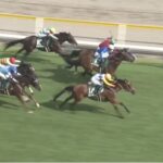 【関屋記念2025】結果・動画/カナテープがレコード決着を制する