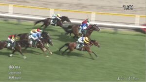 【関屋記念2025】結果・動画/カナテープがレコード決着を制する