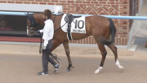 【競馬予想】第57回函館2歳ステークス(GⅢ) /2025