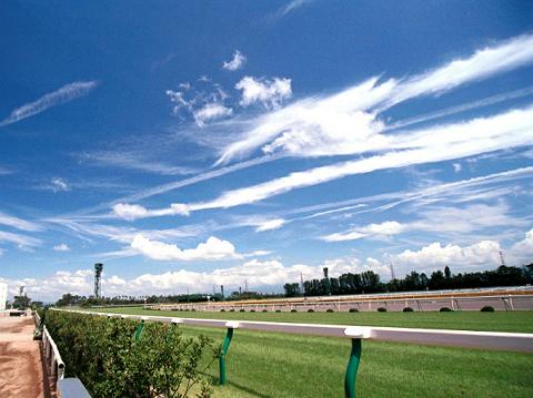 夏競馬もそろそろ見直しの時期