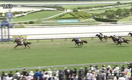 【2歳新馬】ルージュボヤージュ圧勝!コントレイル産駒初勝利!