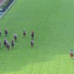 【競馬】今村聖奈さん 新潟千直で最内を走って快勝