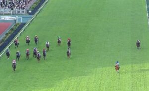 【競馬】今村聖奈さん　新潟千直で最内を走って快勝