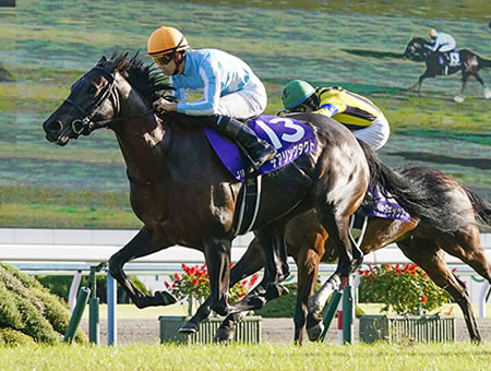 デアリングタクトの年のクラシック戦の2、3着馬