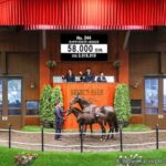 【セレクトセール】イクイノックスの当歳牡馬に5億8000万 ネブラスカレーシングが落札