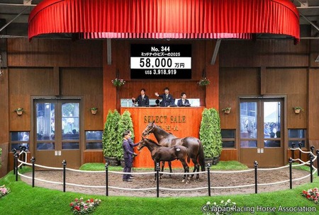 【セレクトセール】イクイノックスの当歳牡馬に5億8000万 ネブラスカレーシングが落札