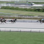 【東海ステークス2025】結果・動画/ヤマニンウルスが復活告げる圧勝V
