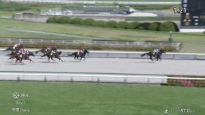 【東海ステークス2025】結果・動画/ヤマニンウルスが復活告げる圧勝V