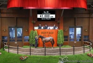 【セレクトセール】億超え連発でキタサン祭り！ノームコアの牡馬は4億超え