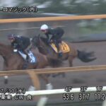 【アイビスサマーダッシュ2025】追い切り/抜群の動きを見せたのは