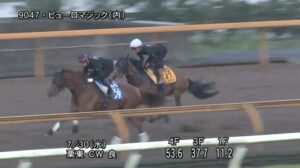 【アイビスサマーダッシュ2025】追い切り/抜群の動きを見せたのは