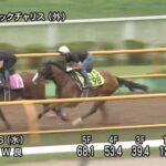 【函館2歳ステークス2025】追い切り/動きからレースを紐解く