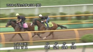【函館2歳ステークス2025】追い切り/動きからレースを紐解く