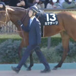 【競馬予想】[1] 第60回関屋記念(GⅢ) /2025