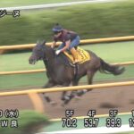 【クイーンステークス2025】追い切り/動きからレースを紐解く