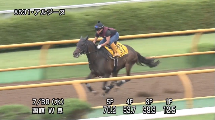 【クイーンステークス2025】追い切り/動きからレースを紐解く