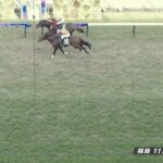 【競馬】七夕賞は柴田大騎乗のコスモフリーゲンが逃げ切りV