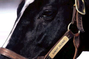 サンデーサイレンスの正当後継種牡馬はディープでもハーツでもなくブラックタイドだった件