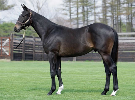 あれ？シルバーステートって失敗種牡馬？
