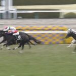 【競馬】今年のクラシックのワクワク感のなさは異常