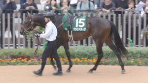 6番人気17着大惨敗！クラスペディア小崎が衝撃のコメント