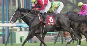【競馬】大阪杯がG1になって裏G2という立場に追いやられた日経賞のメンバーが