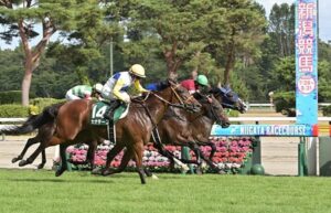 【関屋記念】キング姐連勝1番人気カナテープがレコード重賞初Ｖ!ボンドガールは同着の２着