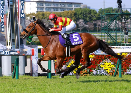 現役最強馬ってベラジオオペラ…？もしかしたら…