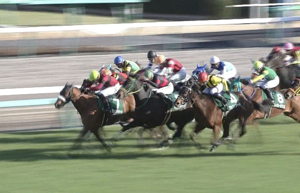 【競馬/阪神大賞典】サトノダイヤモンド強すぎワロタwwwwwwwww