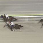 【競馬】帝王賞はルメール騎乗のミッキーファイトがV