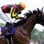 ジェンティルドンナ 繁殖を電撃引退