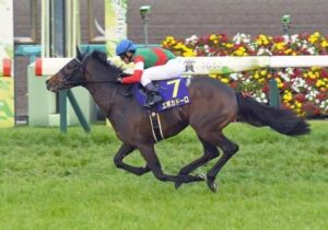 エポカドーロ種牡馬成功してしまう