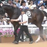 【七夕賞】シルトホルンとセブンマジシャンが7枠に決定 枠連7-7完成なるか?