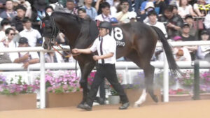 【七夕賞】シルトホルンとセブンマジシャンが7枠に決定　枠連7-7完成なるか？