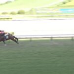 【七夕賞2025】結果・動画/コスモフリーゲンが接戦を制す