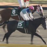 【競馬】3歳牝馬、怪物だらけ【ソウルスターリング、ファンディーナ、アドマイヤミヤビ】