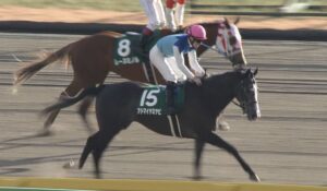 【競馬】3歳牝馬、怪物だらけ【ソウルスターリング、ファンディーナ、アドマイヤミヤビ】