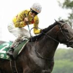 カラテ(牡9)屈腱炎ついに引退 小田切光オーナーがXで発表