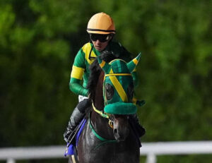 【帝王賞】5着ウィルソンテソーロ川田wwwww