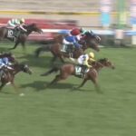 【競馬】関屋記念はキング騎乗のカナテープがV ボンドガールはまた2着