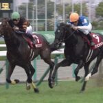 【競馬】大阪杯と阪神大賞典は名前入れ替えた方がいいだろ