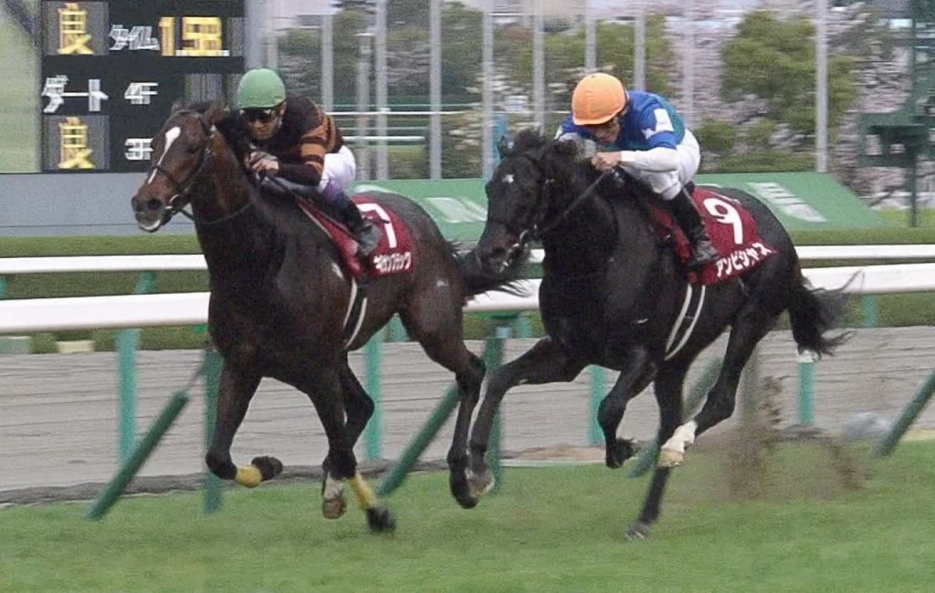 【競馬】大阪杯と阪神大賞典は名前入れ替えた方がいいだろ