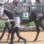 【小倉記念】単勝13番人気ニホンピロキーフの複勝に謎のぶち込みか