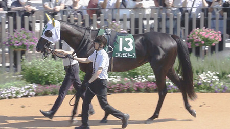 【小倉記念】単勝13番人気ニホンピロキーフの複勝に謎のぶち込みか