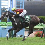 【函館2歳S】9番人気エイシンディード鮮やか逃げ切りV!キング騎手はJRA重賞5勝目