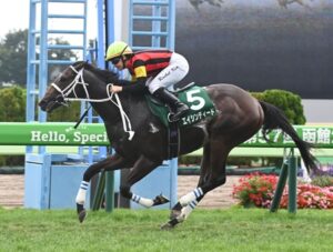 【函館2歳S】９番人気エイシンディード鮮やか逃げ切りＶ！キング騎手はJRA重賞5勝目
